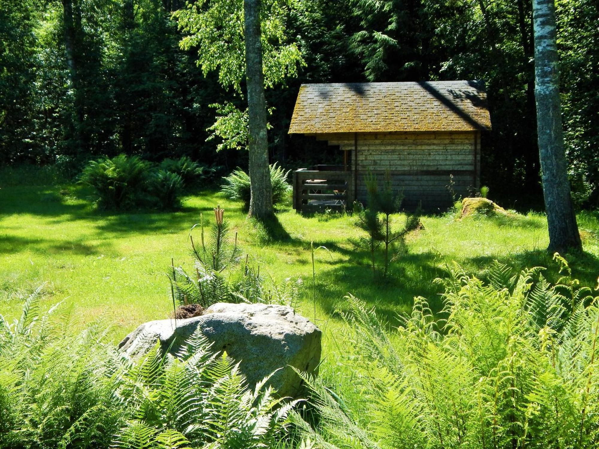 Haaviku Nature Lodge Sagadi Chambre photo